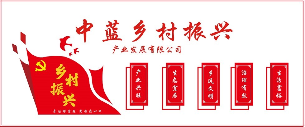 山東中藍(lán)鄉(xiāng)村振興產(chǎn)業(yè)發(fā)展有限公司